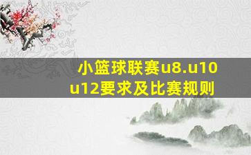 小篮球联赛u8.u10 u12要求及比赛规则